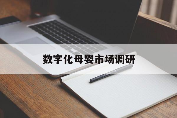 可克达拉市数字化母婴市场调研(数字化母婴市场调研报告)